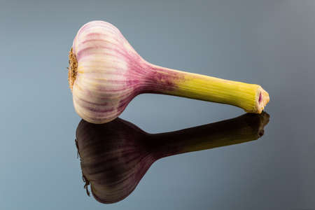 the inclusion of a bulb in the studio  fruits and vegetables have vitaminsの写真素材