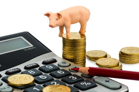 a pig and a calculator as a symbol photo for costs and revenue for a farmer in the landwirtschaft ausgaben, revenue and accounts の写真素材