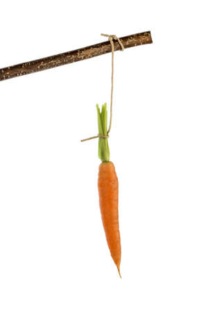 carrot on a stick  fresh fruits and vegetables is always healthy の写真素材