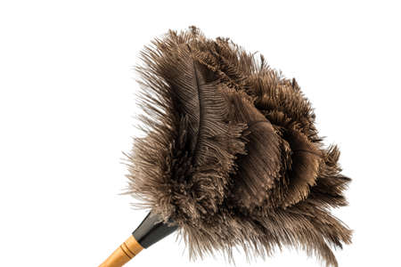 a feather duster against white background の写真素材