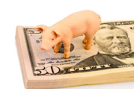 a pig stands on dollar banknotes  rising feed costs in agriculture  diminishing returns for porkの写真素材