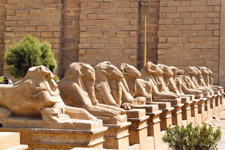 karnak temple, egyptの写真素材