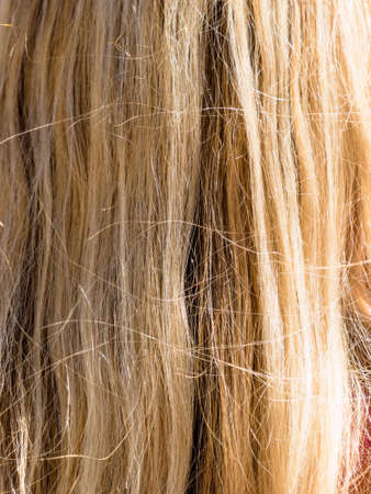 blond long hair