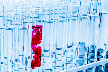 many test tubes for an experiment in a research laboratory of a university. learning and researching symbolic photo for.の写真素材