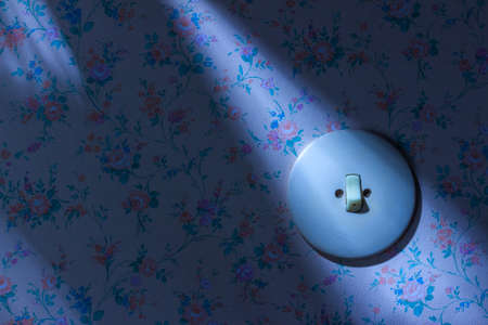 an old wallpaper with light switch. symbolic photo for renovation and remodel.の写真素材
