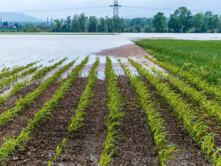 flood of 2013. austria. flows and floods in agricultureの写真素材