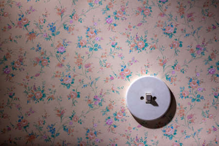 an old wallpaper with light switch. symbol photo for renewal and renovation.の写真素材