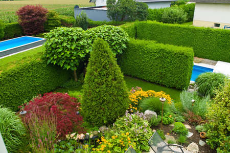 garden with swimming pool and ornamental treesの写真素材