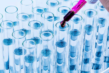 many test tubes for an experiment in a research laboratory of a university. learning and research...
