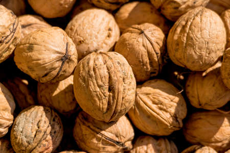 many walnuts close-up, solve problems icon, abundance, hardnessの写真素材