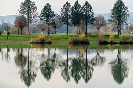 trees reflecting in the lake, the symbol of melancholy, meditation, relaxation