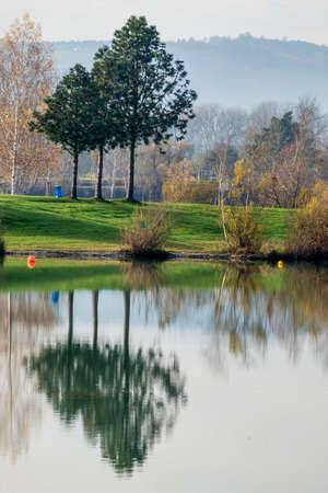 trees reflecting in the lake, the symbol of melancholy, meditation, relaxationの写真素材