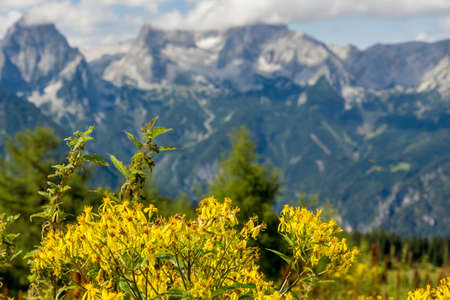 mountains in hinterstoder, upper austria, austria beautiful views for hikersの写真素材