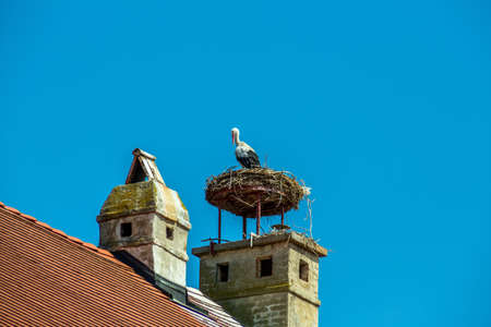 a storks nest on a achornstein in rust. burgenland, austriaの写真素材