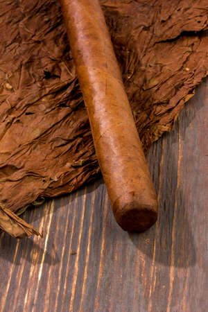 leaves of tobacco and finished cigars are adjacent.