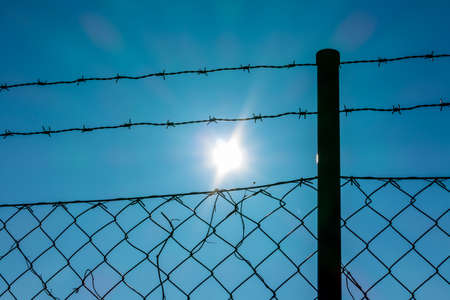Barbed wire and sunshine, symbol of captivity, limit freedomの写真素材