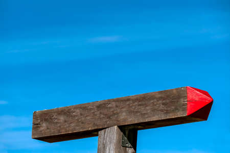 signpost is showing the correct direction for succsessの写真素材