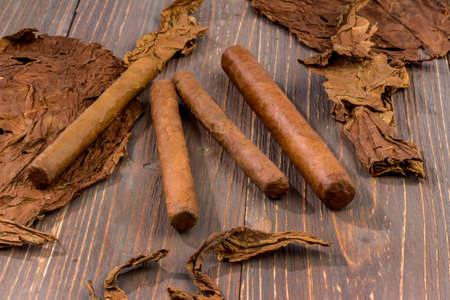 leaves of tobacco and finished cigars are adjacent.の写真素材