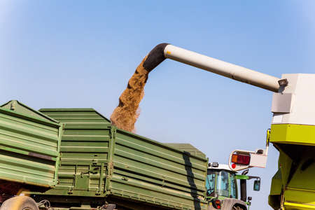 a cornfield with wheat at harvest time. a combine harvester at work.の写真素材