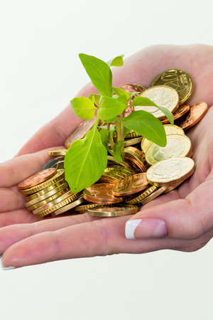 hands with money and plant. symbolfoto surch for growing capital interest in saving.