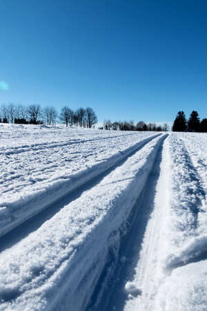 winter sports cross-country skiing, icon sports, winter holidays, natureの写真素材