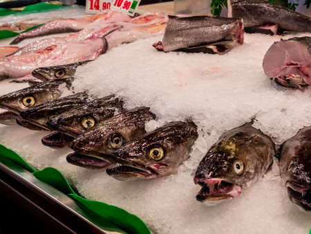 freshly caught fish lying on a fish market in the ice