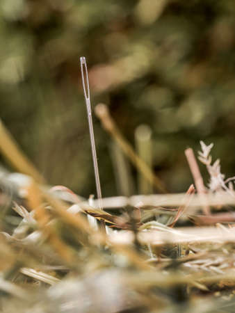 a needle is in the haystack. icon photo of a proverb for challenge, search and locate.の写真素材
