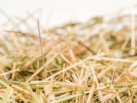 a needle is in the haystack. icon photo of a proverb for challenge, search and locate.の写真素材