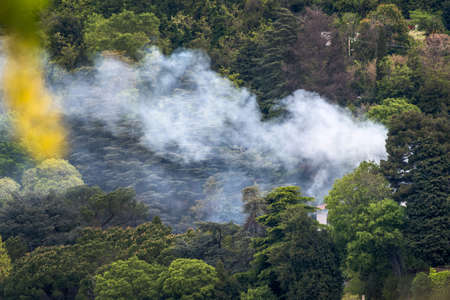 in a settlement section residues are burned.の写真素材