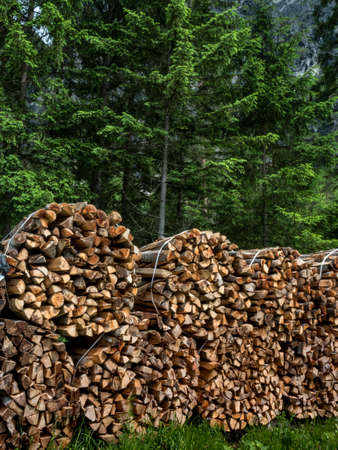 situated stapeltes wood as firewood for the winterの写真素材