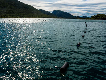 oyster farming in europe