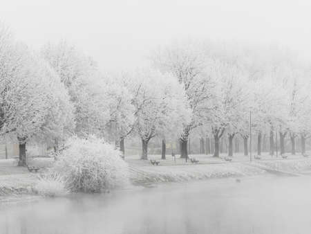 landscape with trees and rime in cold weather in winter. typical winter image as a background.の写真素材