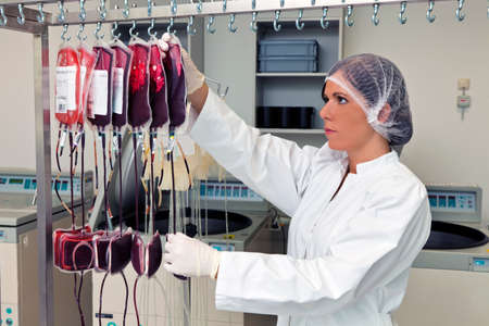 Examination of donor blood in the blood laboratoryの写真素材