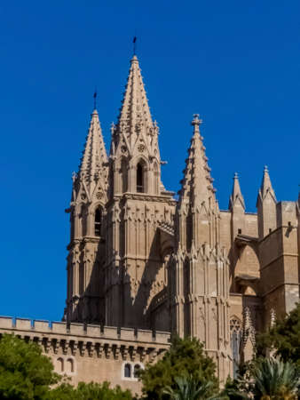 spain, mallorca, palma, cathedralの写真素材