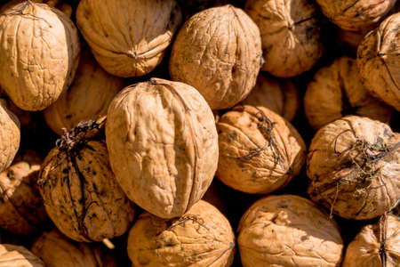 many walnuts close-up