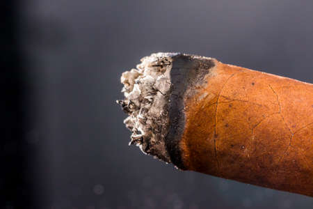 smoking cigarの写真素材