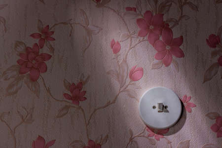 old wallpaper with light switchの写真素材
