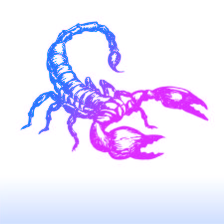 scorpion insect illustration vectorのイラスト素材