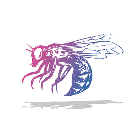 Bee Insect Illustration vector artのイラスト素材