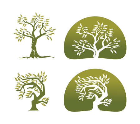 A vector Illustration set of Olive Tree Vector Signのイラスト素材