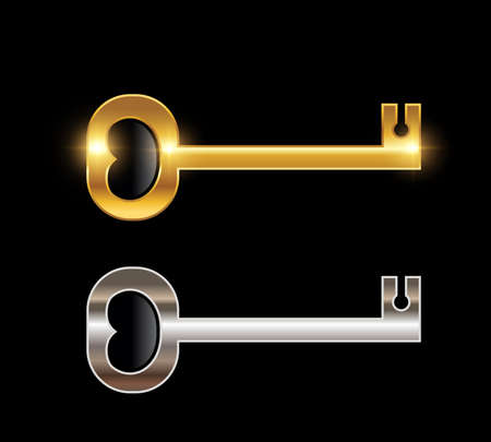 A Vector Illustration set of Gold and Silver Key Signのイラスト素材