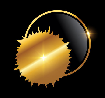 A vector Illustration on black background with gold shine effect of Golden Splash Paint Logo Vector Iconのイラスト素材