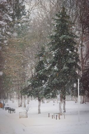 Winter viewの写真素材