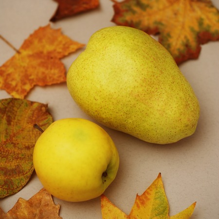 Apples, pears, autumn leaves.の写真素材