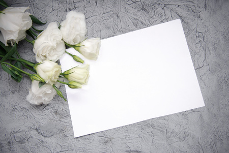 White flowers, paper card on gray stone table from above in flat lay style. Greeting for Womens or Mothers Day.の写真素材