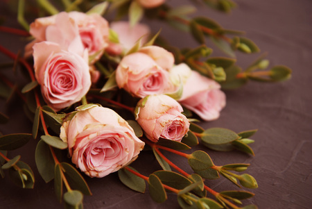 Beautiful pink rose flower and eucalyptus leaves on vintage tableの写真素材