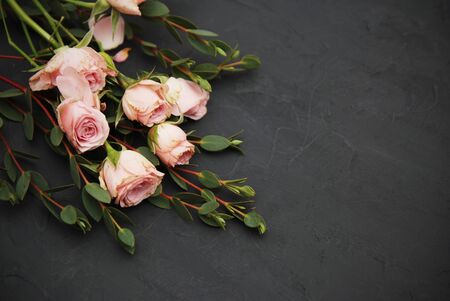 Beautiful pink rose flower and eucalyptus leaves on black backgroundの写真素材