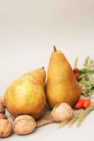 Autumn pears with nuts. Rustic autumn composition.の写真素材