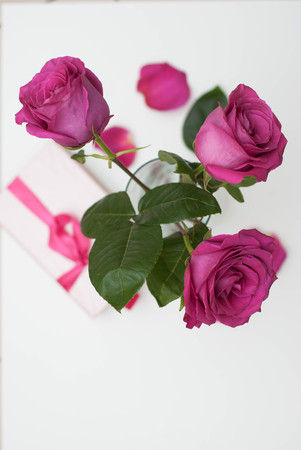 Beautiful pink fucsia roses background. gift box with bow.の写真素材