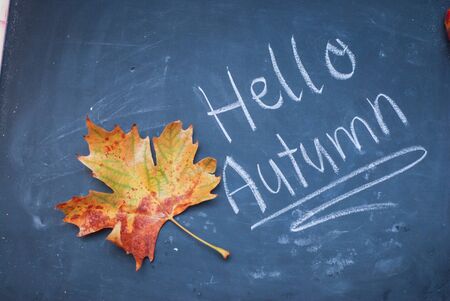 hHello Autumn. Chalk word. Chalkboard with Autumn Decorationの写真素材